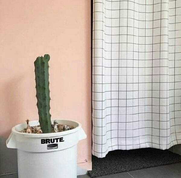 优质唯美时尚静物摆拍意境艺术图片大全图片