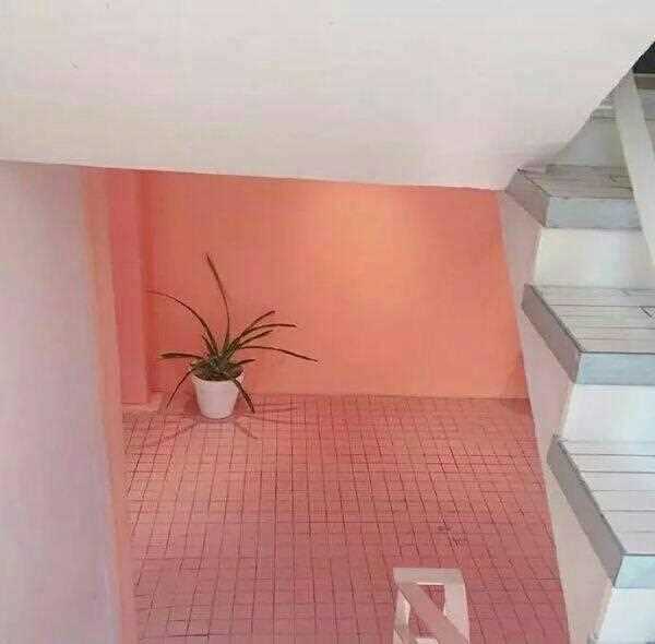 优质唯美时尚静物摆拍意境艺术图片大全图片