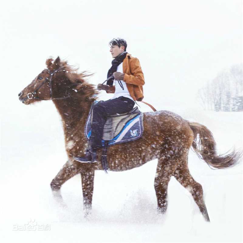 霍建华(Wallace Huo)时尚芭莎生活照相册