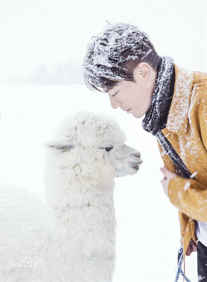 霍建华(Wallace Huo)时尚芭莎生活照相册