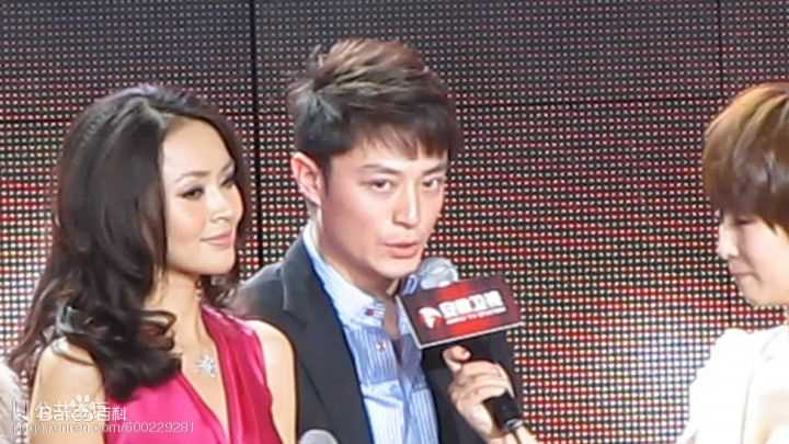 霍建华(Wallace Huo)2010.12.12国剧盛典性感图片图集