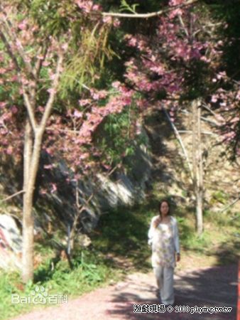 高清张钧甯(Ning Chang)在《白色巨塔》饰演关欣中的图集