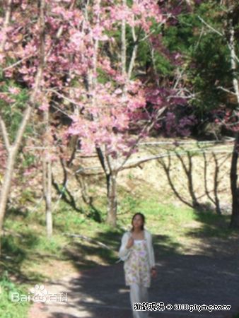 高清张钧甯(Ning Chang)在《白色巨塔》饰演关欣中的图集