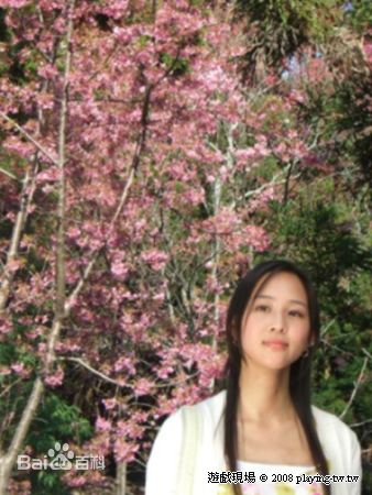 高清张钧甯(Ning Chang)在《白色巨塔》饰演关欣中的图集