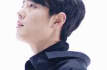 肖战动图性感图片图集