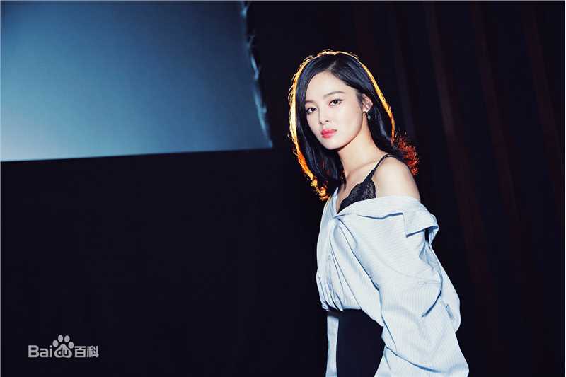 辛芷蕾(Xin Zhilei)长江图北京首映礼壁纸壁纸