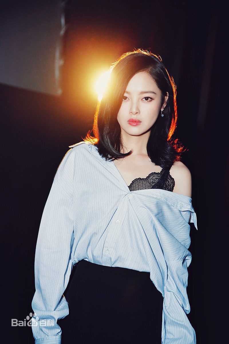 辛芷蕾(Xin Zhilei)长江图北京首映礼壁纸壁纸