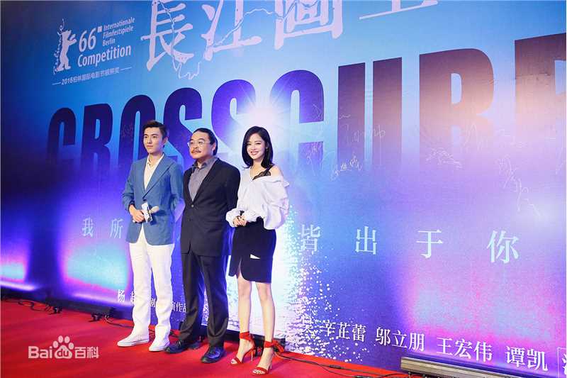 辛芷蕾(Xin Zhilei)长江图北京首映礼壁纸壁纸