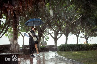 姚笛(Yao Di)《结婚为什么》最优质剧照