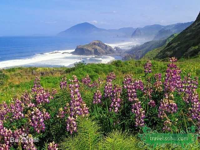 最全张洪睿(Danny)精彩图册