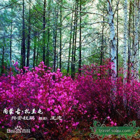 最全张洪睿(Danny)精彩图册