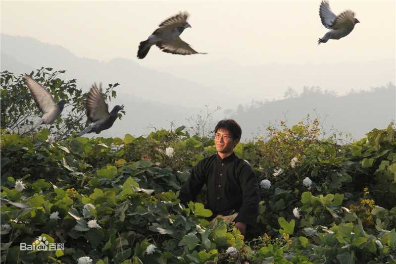 窦骁(Shawn Dou)2011年电影_秋之白华_最优质剧照