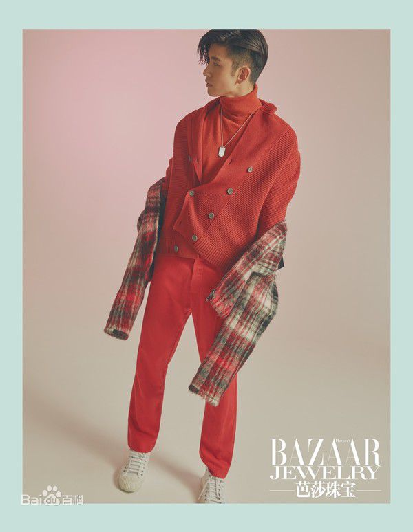 张云龙(Leon)芭莎珠宝壁纸壁纸