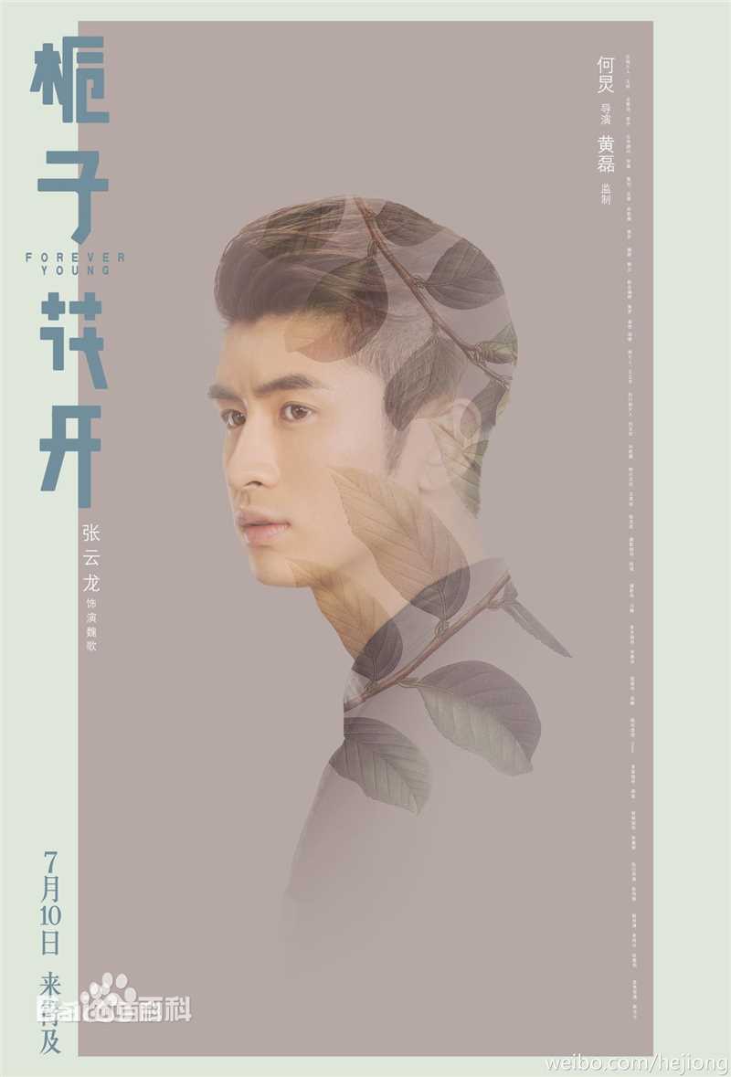 最新张云龙(Leon)在《栀子花开》魏歌中的图集