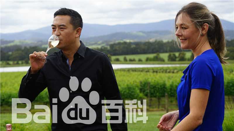 张嘉译(Zhang Jiayi)澳世盛宴生活照相册