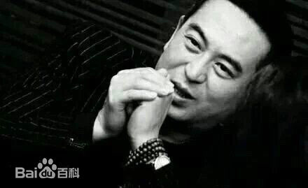 张嘉译(Zhang Jiayi)标志动作图册