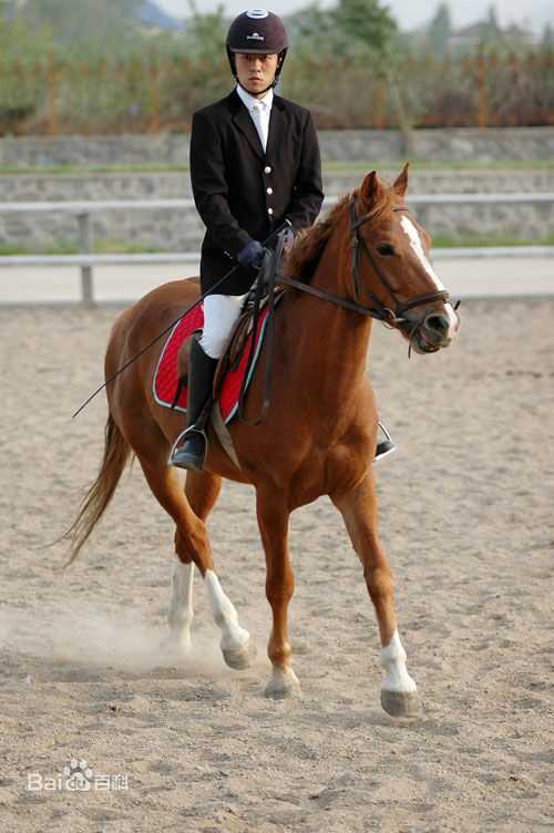 林雨申前后照片