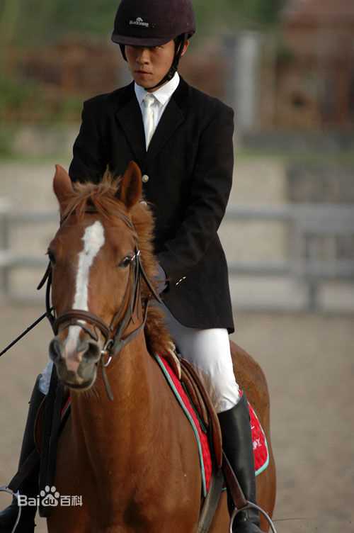 林雨申2008年《飓风之舞》剧照