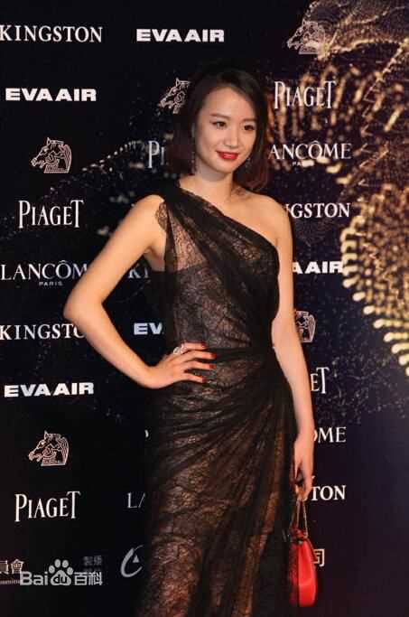 李梦(vivien)台湾金马奖图册