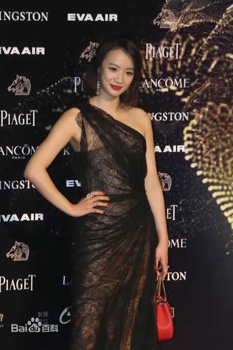 李梦(vivien)台湾金马奖图册