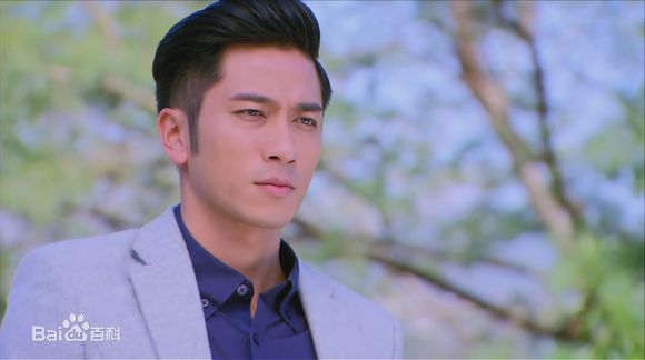 吴卓羲(Ng Cheuk Hai，Ron)参演影视作品高清海报图集