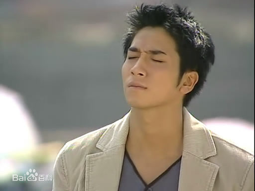 高清吴卓羲(Ng Cheuk Hai，Ron)在2005《酒店风云》饰 王启杰中的图册