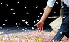 最优质杨雨婷(Yang Yuting)生活照