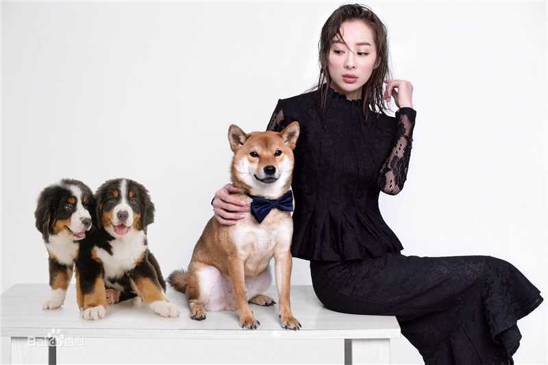 童苡萱(Elena)精选图册