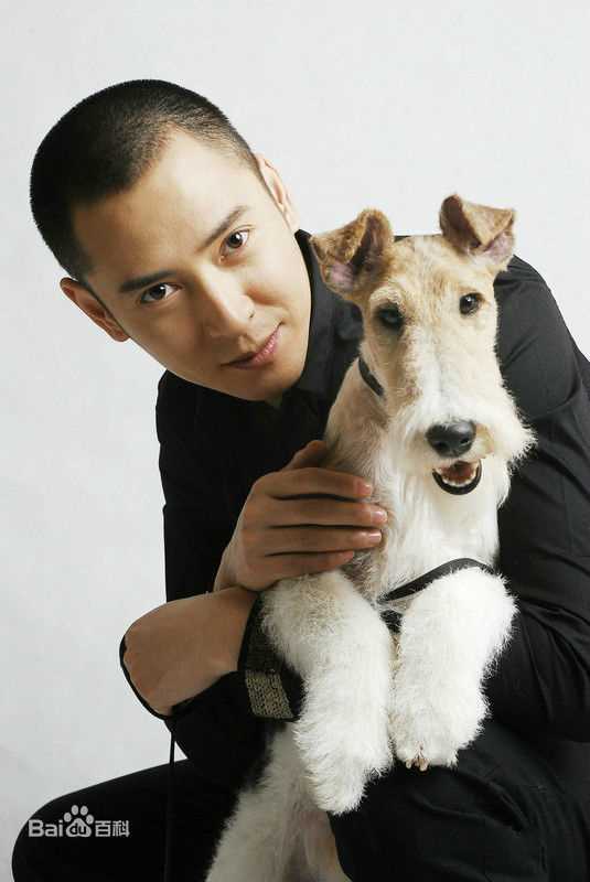 韩栋(Han Dong)最优质时尚相册