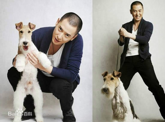 韩栋(Han Dong)最优质时尚相册