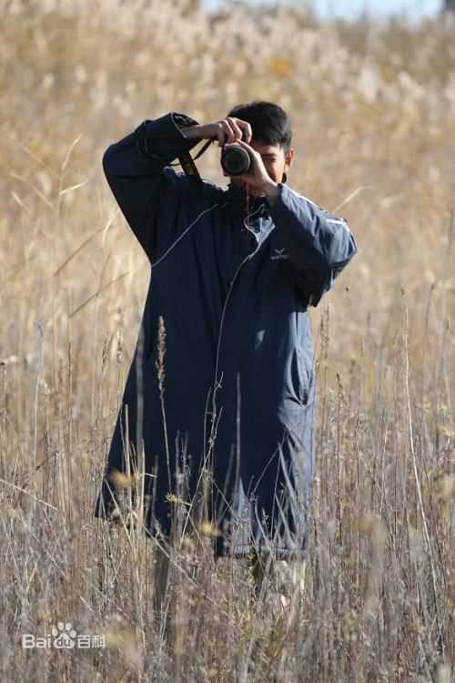 最新王雨精彩图册
