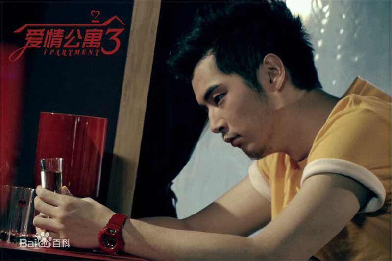 精选金世佳在《爱情公寓》陆展博中的图册