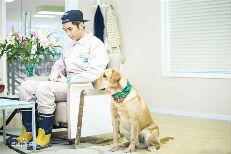 最新金世佳在《神犬小七》艾亮中的壁纸