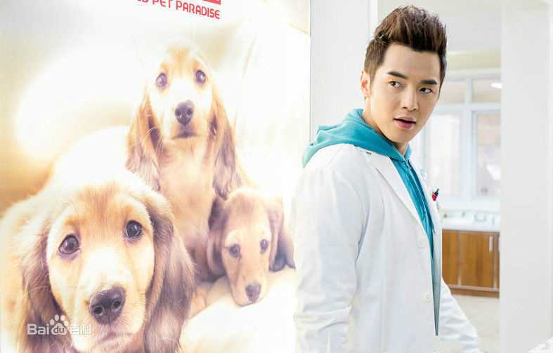 最新金世佳在《神犬小七》艾亮中的壁纸