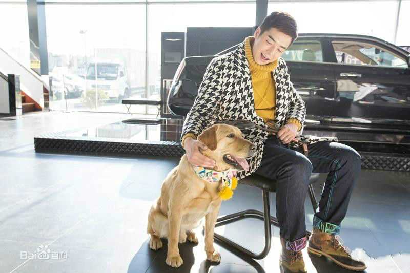 最新金世佳在《神犬小七》艾亮中的壁纸