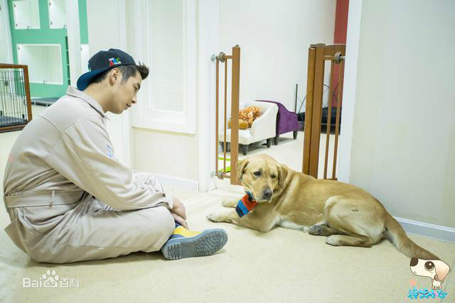 最新金世佳在《神犬小七》艾亮中的壁纸