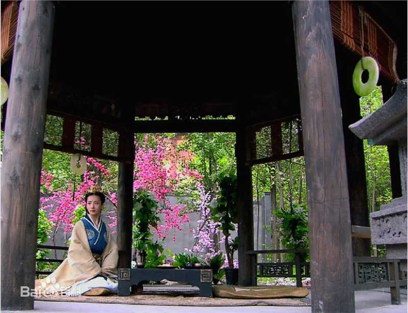 高洋2011年《美人心计》精选剧照