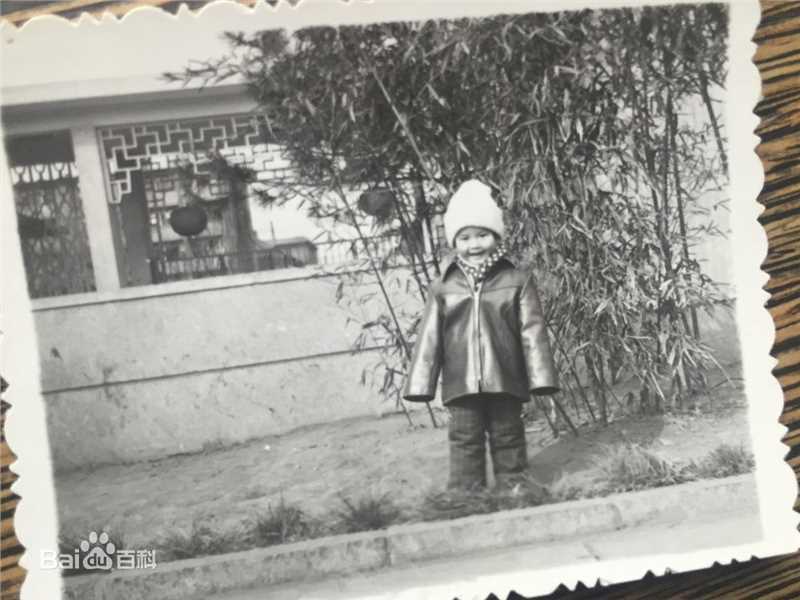 徐海乔(Joe)早年图册壁纸壁纸