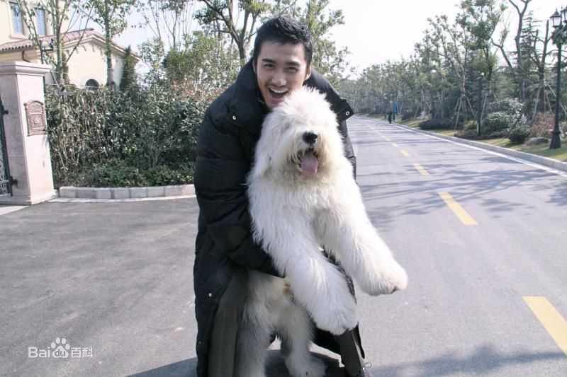 胡兵2010年《无懈可击之美女如云》高清剧照