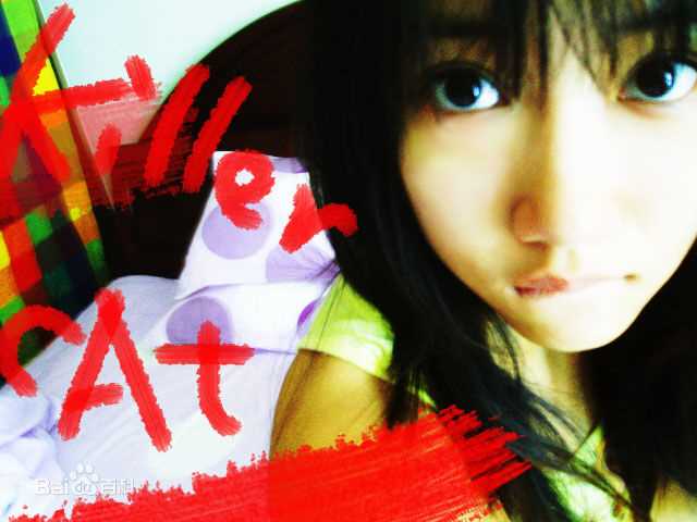 张弦子(Stringer)生活与工作图片图集