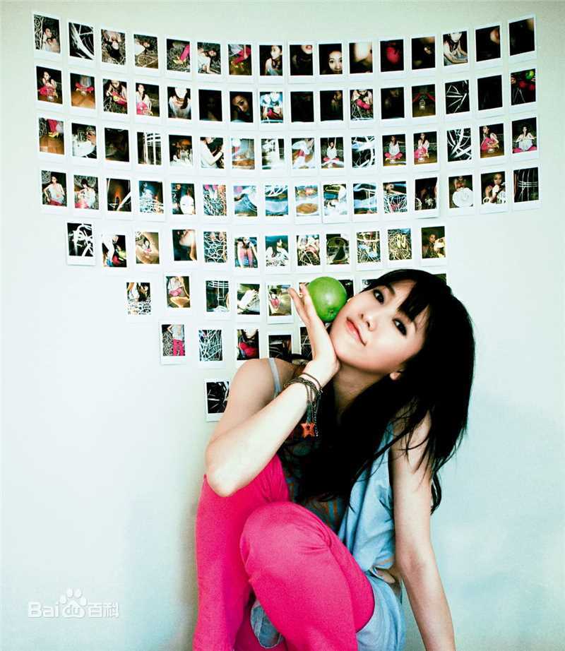 最全张弦子(Stringer)在2008年第二张国语专辑《不爱最大》宣传照中的相册