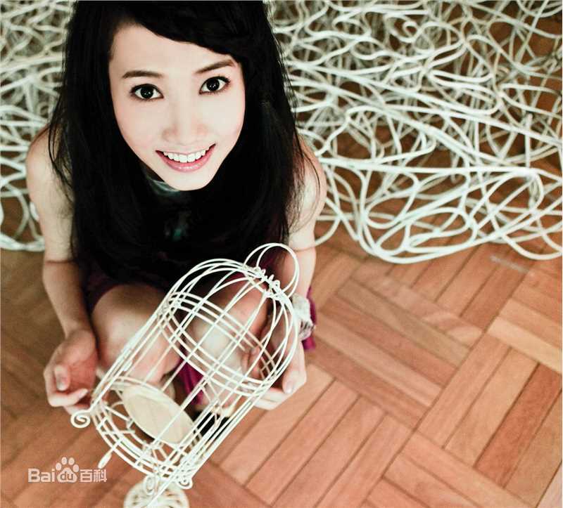 最全张弦子(Stringer)在2008年第二张国语专辑《不爱最大》宣传照中的相册