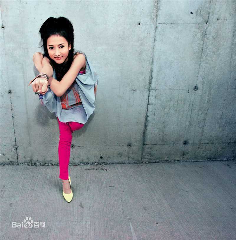 最全张弦子(Stringer)在2008年第二张国语专辑《不爱最大》宣传照中的相册