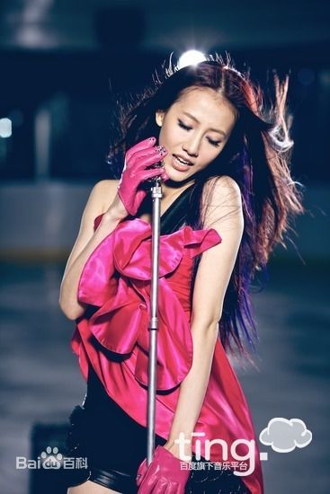 张弦子(Stringer)弦子魅力演唱现场照素颜照相册