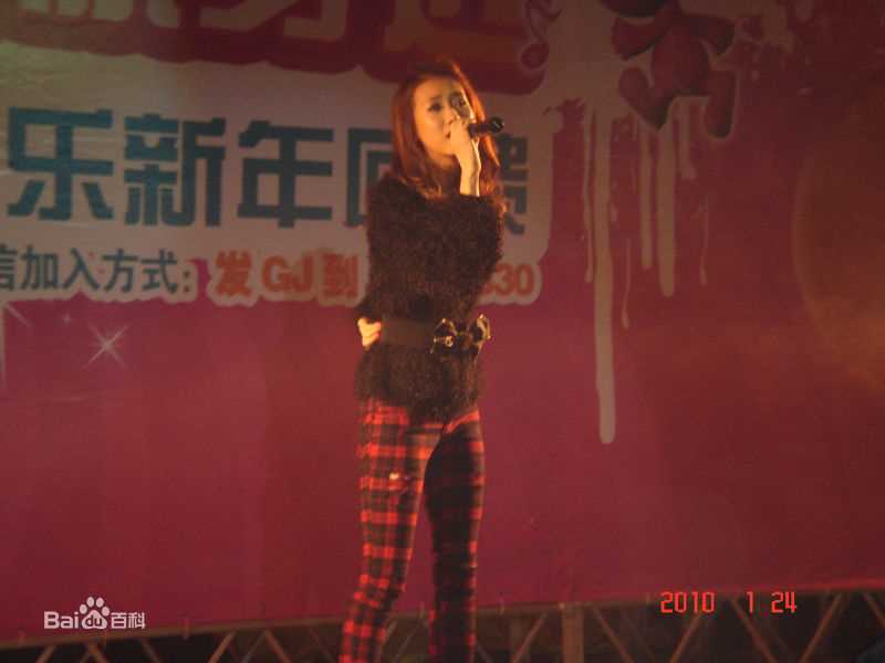 张弦子(Stringer)2010年弦子常州移动歌友会壁纸壁纸