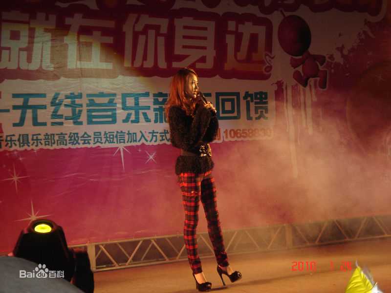 张弦子(Stringer)2010年弦子常州移动歌友会壁纸壁纸