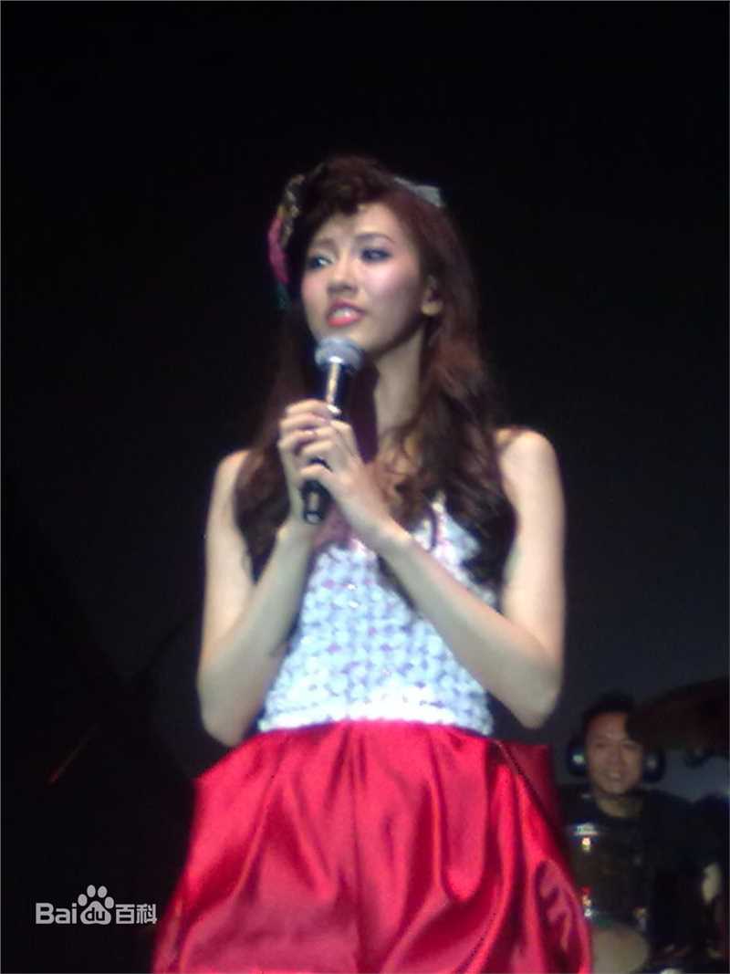 张弦子(Stringer)2010年弦子广州演唱会壁纸壁纸