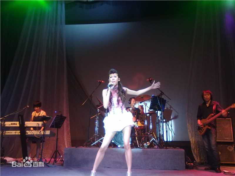 张弦子(Stringer)2010年弦子广州演唱会壁纸壁纸