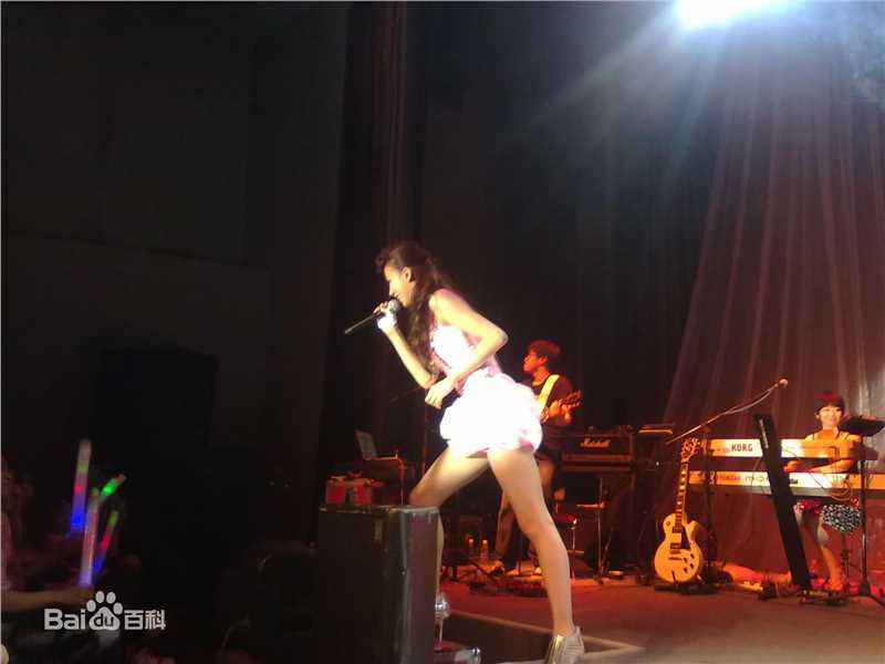 张弦子(Stringer)2010年弦子广州演唱会壁纸壁纸