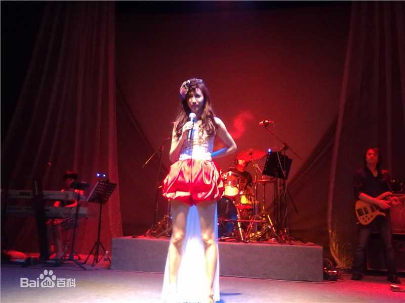 张弦子(Stringer)2010年弦子广州演唱会壁纸壁纸